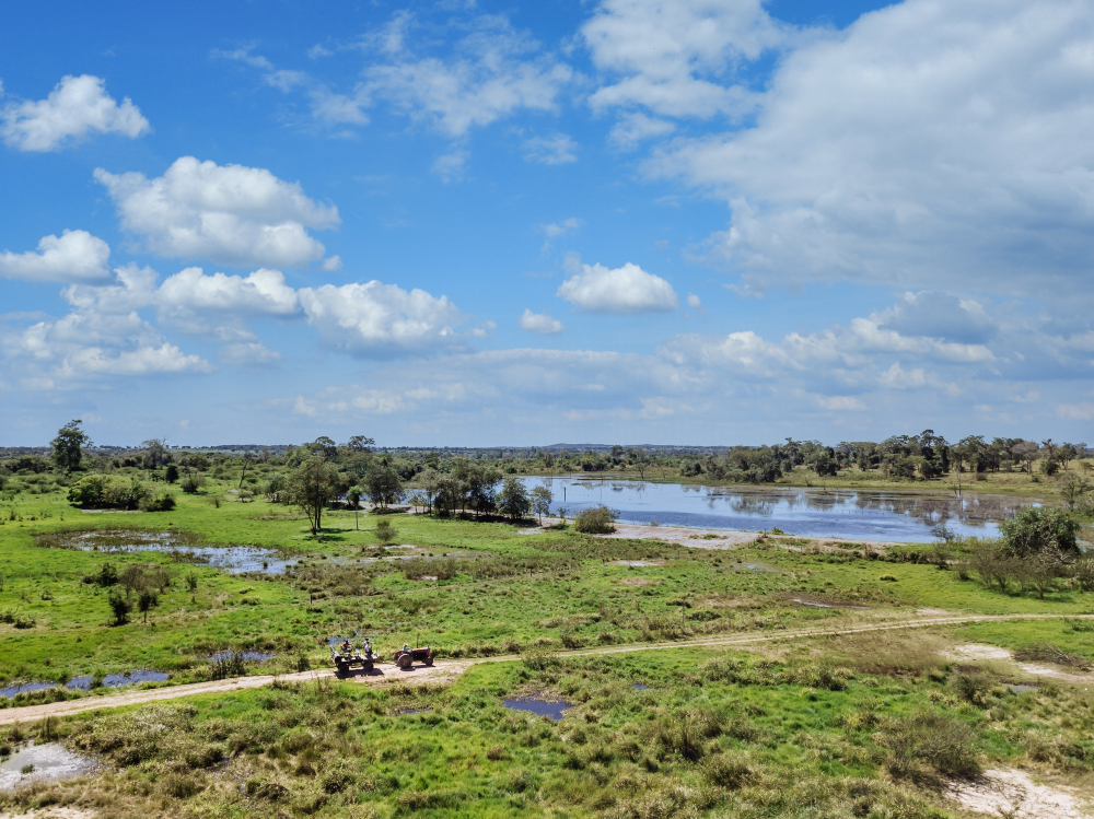 green landscape