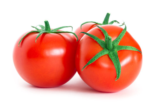 Tomato