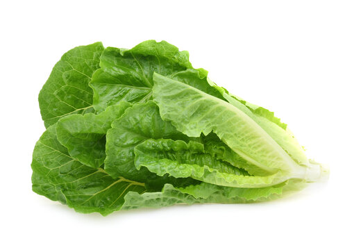 Lettuce