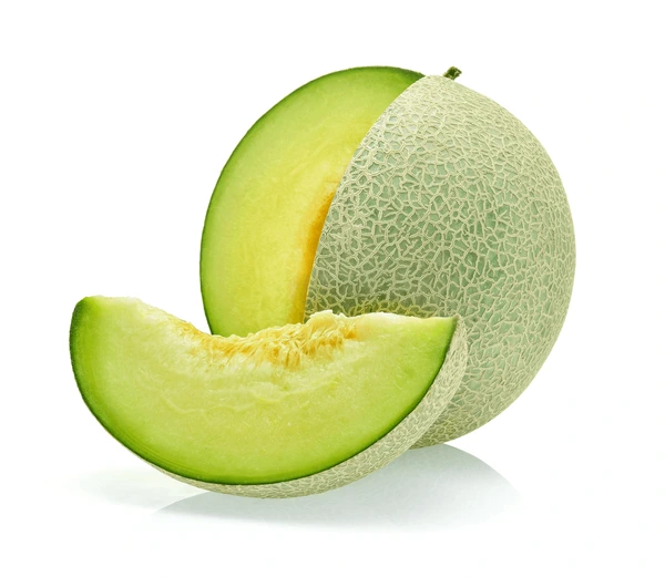 Gallia melon