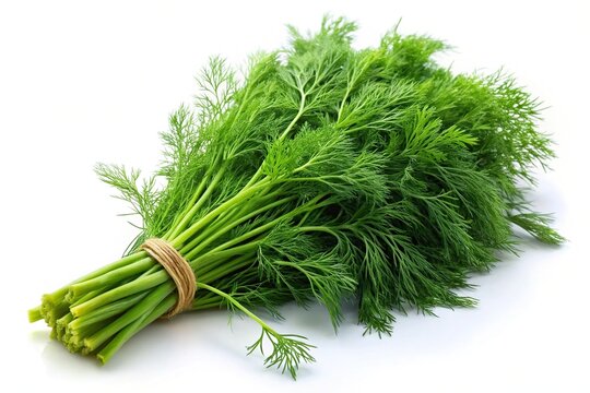 Dill