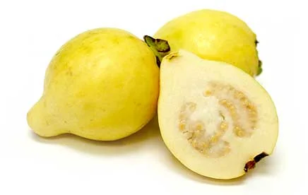 Guava