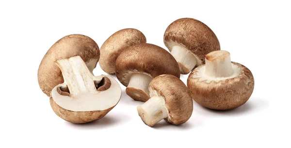 Mushrooms
