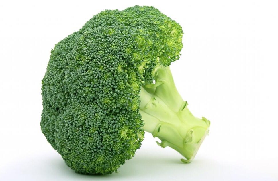 broccoli
