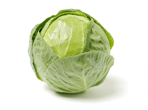 Cabbage