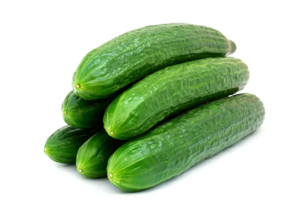 Cucumber